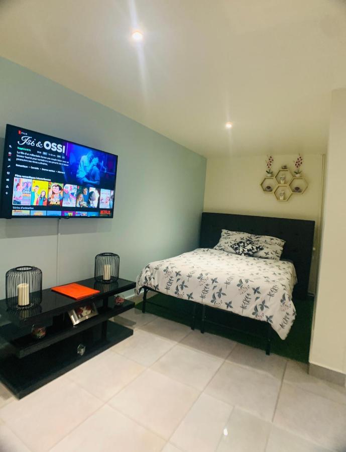 Appartement Cosy Proche Roissy Cdg Asterix Disneyland Paris Гуссенвиль Экстерьер фото